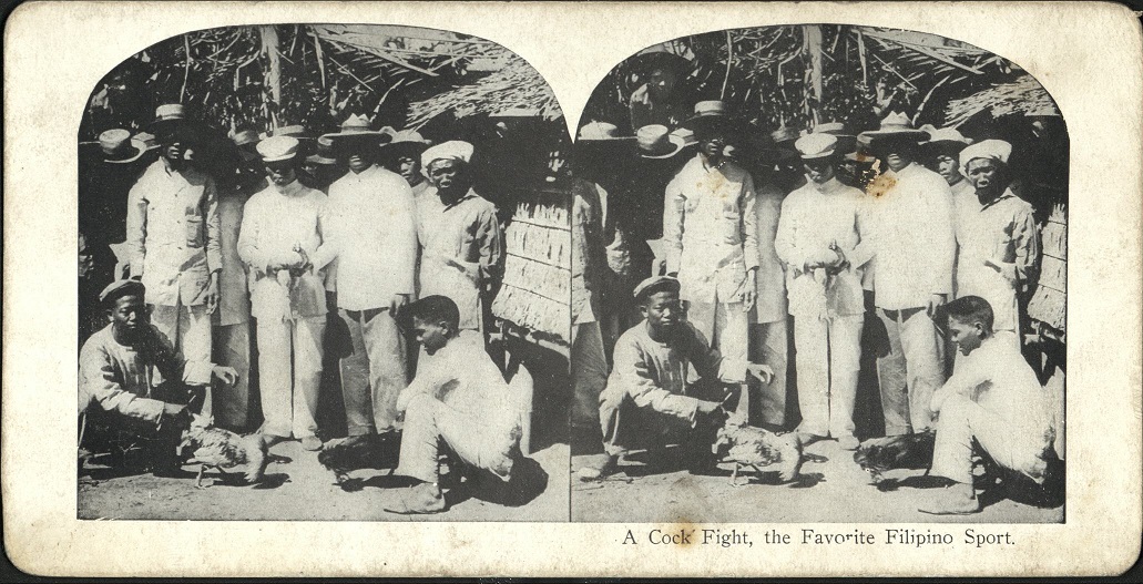 A Cock-Fight, the Favorite Filipino Sport.